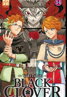 Tome 14