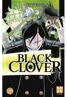 Tome 28