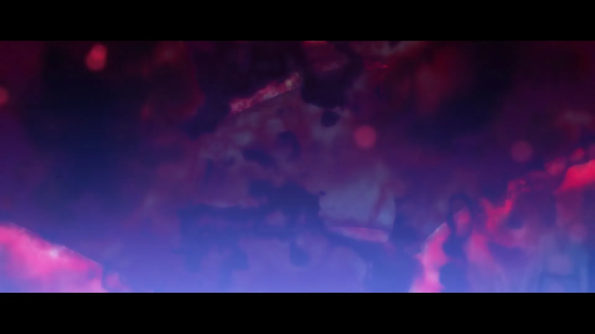 Path — capture 12