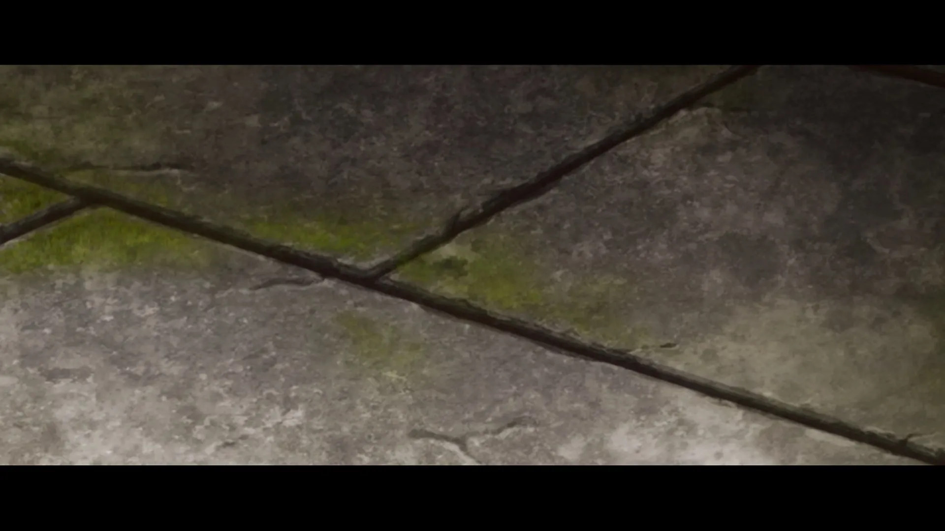 Path — capture 30
