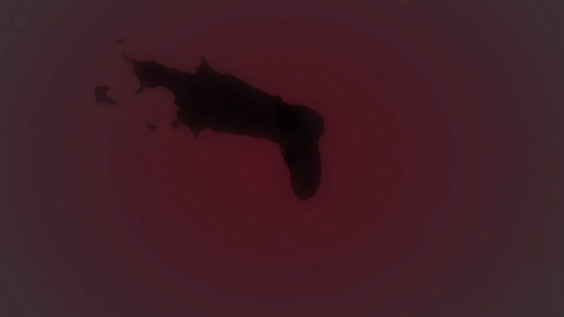 End of the Battle, End of Despair — capture 22