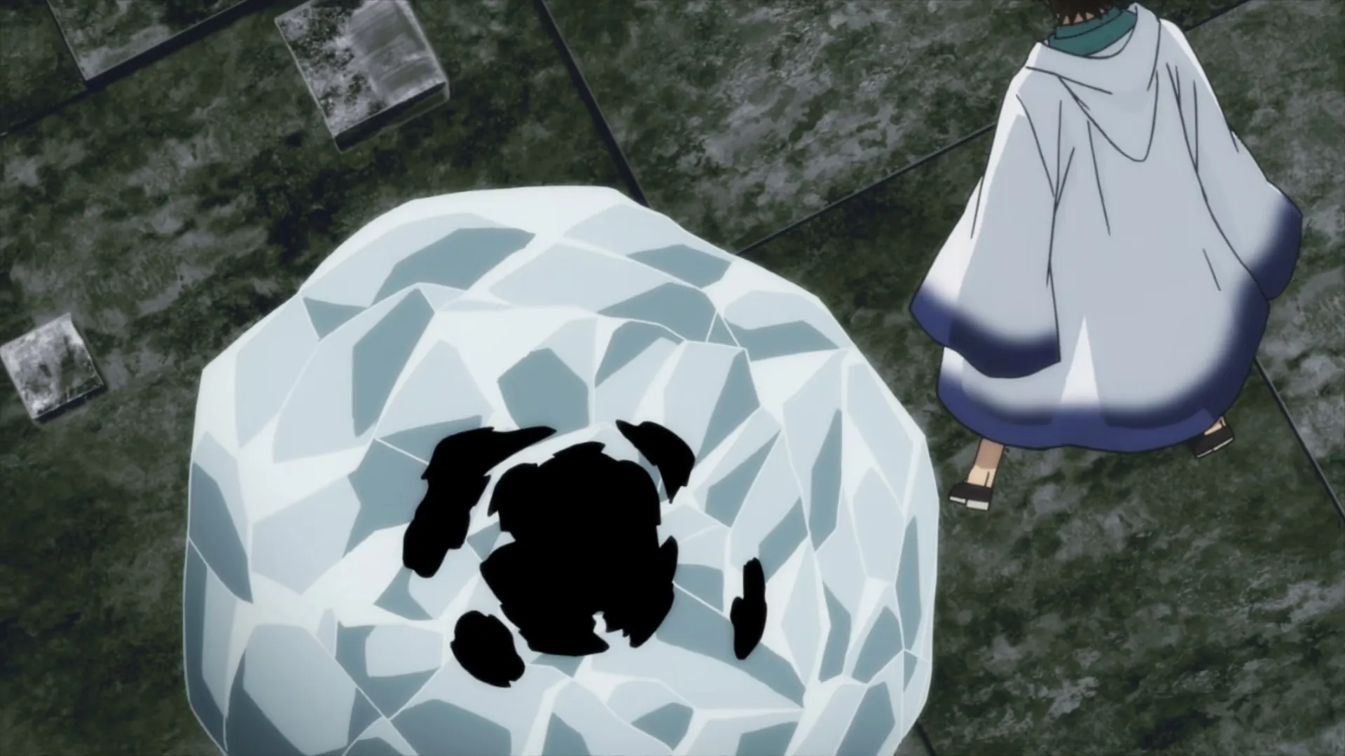 Mereoleona vs. Raia the Disloyal — capture 24