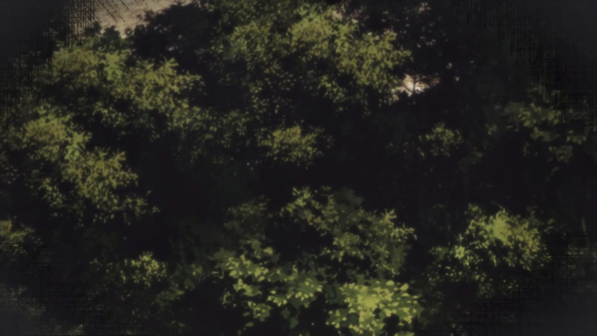 Reincarnation — capture 28