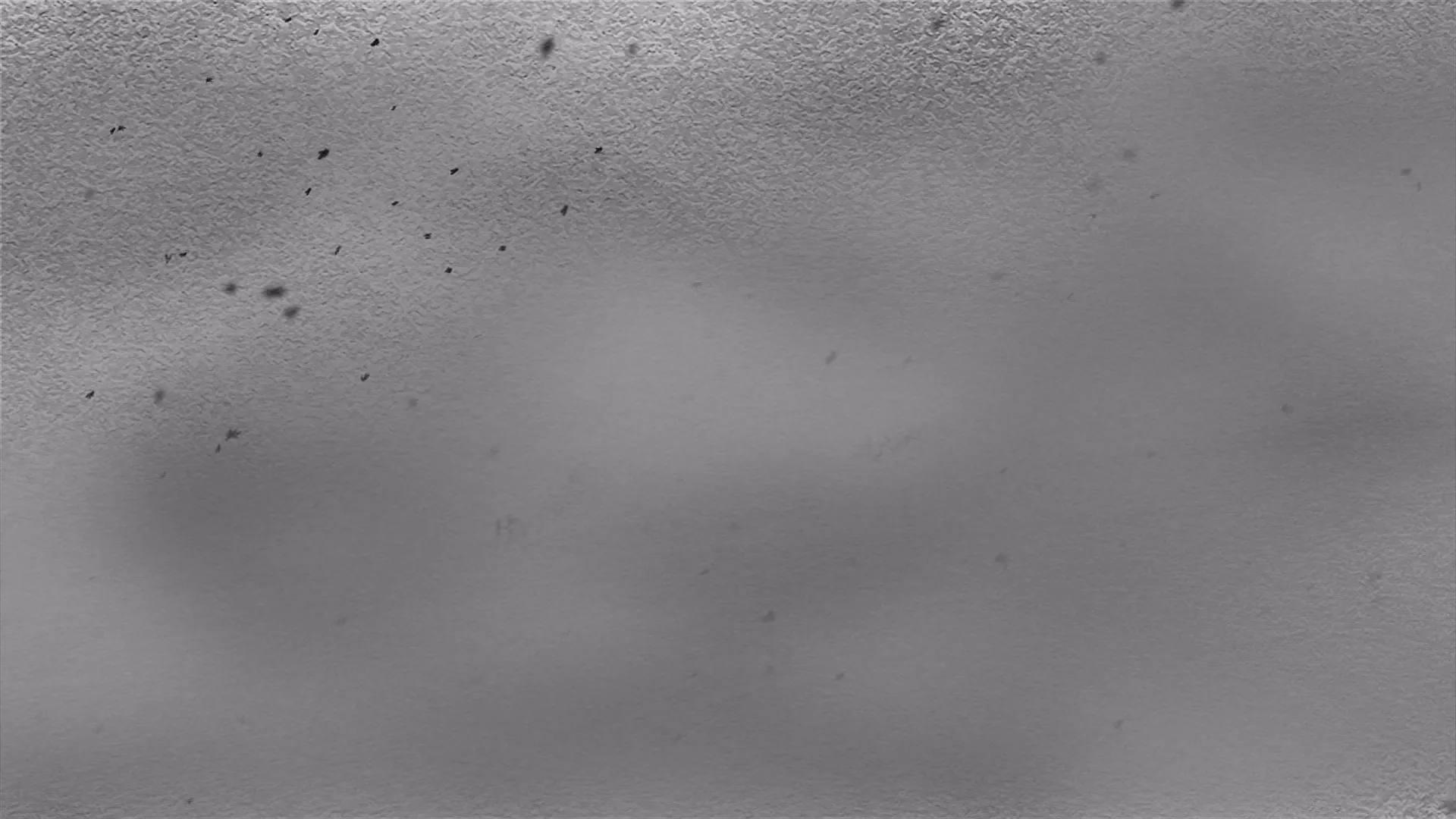 Becoming the Light That Shines Through the Darkness — capture 6