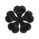 Grimoire à 5 Feuilles Noires